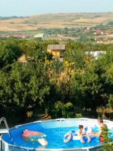 two children playing in a swimming pool in a resort at Casa Tomson, free parking, ciubăr, piscină în natura in Oradea