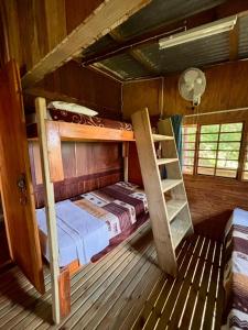 a bunk bed in a wooden room with a ladder at Backpackers at Kanaan in Hazyview