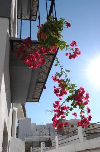 un montón de flores rojas colgando de un balcón en Apartamentos El Tranco del Mar, en Almuñécar