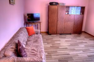 ein Wohnzimmer mit einem Sofa und einem Flachbild-TV in der Unterkunft Apartman Anka in Ratkovica