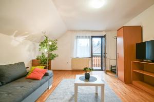 a living room with a couch and a tv at Green View Kamnik in Kamnik