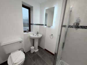 a bathroom with a toilet and a sink and a shower at Millbrook House Apartments 7 in Milton