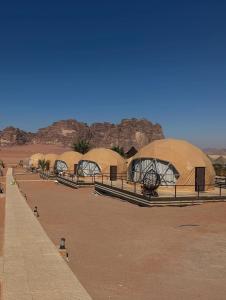 a row of tents in a desert with mountains at Bedouin Camp&tour in Wadi Rum