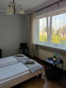 a bedroom with two beds and a table and a window at Hotelik -Świerki in Swarzędz +4 photos