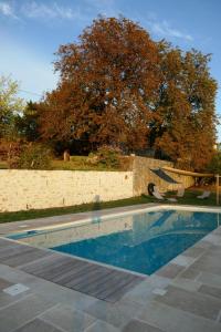 a swimming pool in front of a wall and a tree at La Mondee in Badefols-dʼAns