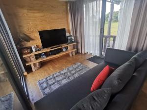 a living room with a couch and a flat screen tv at The Serenity in Mauritius