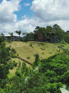 a house on top of a grassy hill with trees at The Serenity in Mauritius