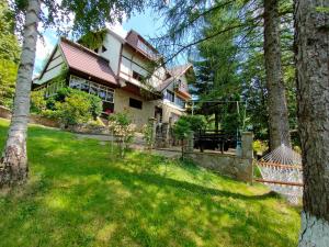 a house with a lawn in front of it at pensiunea Gabriela in Durău