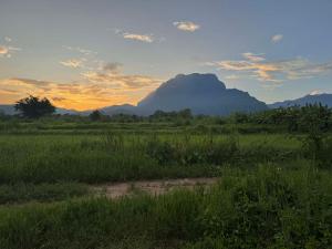 a field of grass with a mountain in the background at Baboo Studio in Chiang Dao