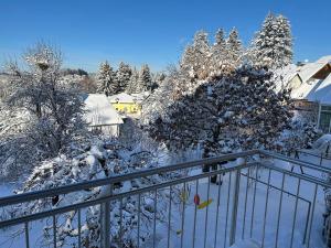 a balcony with snow covered trees and houses at Ferienwohnung Bärbel in Freyung