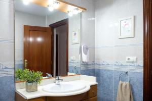a bathroom with a sink and a mirror at APARTAMETO BAZTANGOA I Centro Elizondo in Elizondo +15 photos