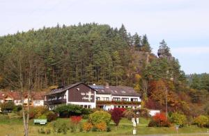a large house on the side of a mountain at Café-Pension Krems in Waischenfeld