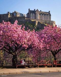 a person sitting on a bench in front of a castle at Apart Bernard Rooms in Edinburgh