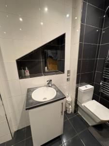 a bathroom with a sink and a toilet at Sunderland City Cozy Flat in Sunderland