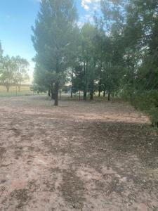 a field with trees and dirt and some trees at Plain Bush by Tiny Away in Bohena Creek