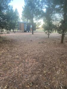 a tiny house in a field with trees at Plain Bush by Tiny Away in Bohena Creek +13 photos