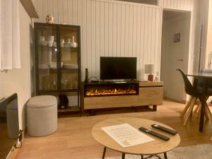 a living room with a television and a fireplace at Flor de Hielo in Candanchú +6 photos