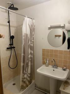 a bathroom with a sink and a shower at Joli maison de bourg in Savennières