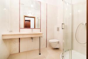 a bathroom with a sink and a toilet and a shower at Hotel Pod Kasztanami in Lublin