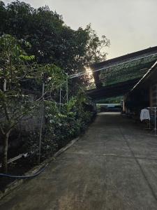 a road with trees and a bridge with the sun shining at Quốc Hưng in Ấp Trà Cô +18 photos