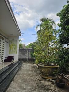 a potted tree in a large pot next to a house at Quốc Hưng in Ấp Trà Cô