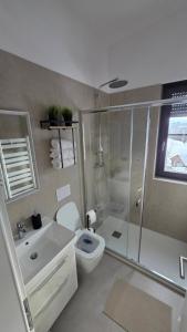 a bathroom with a shower and a toilet and a sink at Forest Edge Lake House in Desmerice +13 photos