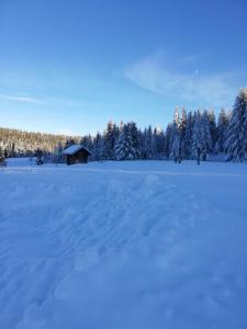 a field covered in snow with a cabin in the background at Le Chalet des Pas Sages in Longevilles-Mont-dʼOr +20 photos