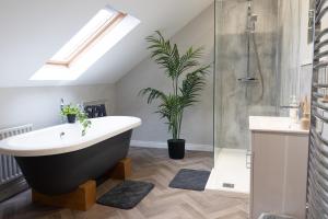 a bathroom with a large bath tub and a plant at Edenmore Cottage Bed & Breakfast in Moorefield