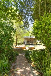 a path in a park with trees and a building at The Huts - Glamping at Caledon Grace in Caledon