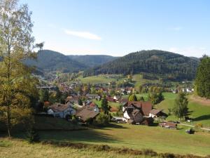 a village in a valley with green hills and trees at Hermine, Black Forest Retreat, mit Sonnenterrasse in Baiersbronn