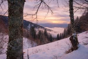 a view of a snow covered mountain with trees at Baita dal Bigolaro in Vetriola