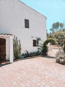 a white building with two windows and a cactus at Casa Om in Dosríus