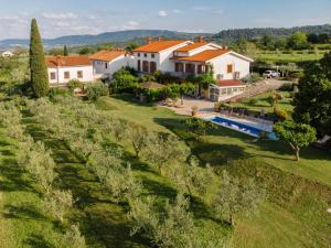 an aerial view of a villa with a swimming pool and a house at Med oljkami Apartment in Koper