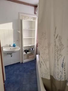 a bathroom with a sink and a shower curtain at FEWO im Ortskern in Gudow
