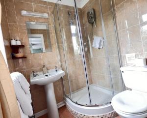 a bathroom with a shower and a toilet and a sink at Rosedene Guest House in Pembroke +21 photos