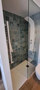 a bathroom with a glass shower with a toilet at EBEIA Casas Rurales IBEAS DE JUARROS (BURGOS) in Ibeas de Juarros