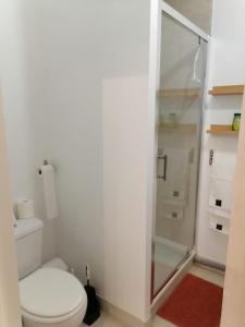 a bathroom with a toilet and a shower at Le Coeur du Beffroi in Douai