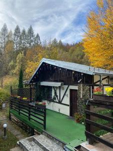a house with a porch and a green yard at Chalet Traian & Ruxandra in Sinaia