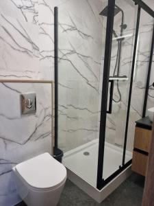a bathroom with a toilet and a shower at Apartament 5- Bliżej Zdroju in Polanica-Zdrój +31 photos