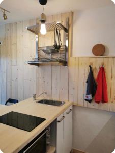 a kitchen with a sink and a counter at Jonquille 5 personnes in Chamonix