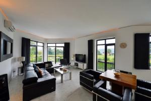 a living room with black couches and a tv at Aurora Villa in Lesa