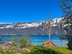a view of a body of water with a snowy mountain at Nordlys Apartment in Hamnvik