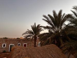 a group of palm trees and a brick building at Auberge Nasser in Chinguetti