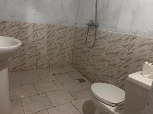 a bathroom with a toilet and a sink at Auberge Nasser in Chinguetti