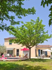 a house with a tree in front of it at Studio Lumineux avec jardin & piscine à Vaison la Romaine in Vaison-la-Romaine