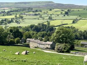 a herd of sheep grazing in a green field at 4 Bed in Middleham oc-c34754 in Caldbergh