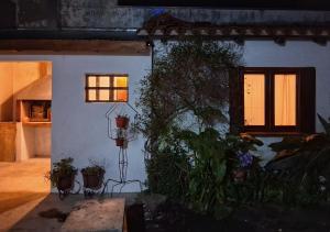 a house with plants on the side of it at Castelli b&b in Mar del Plata
