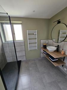 a bathroom with a shower and a sink at Gîte de la Tour d'horloge in Carvin