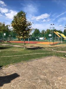 a park with a tree and a tennis court at Beach Hostel Balatonboglár in Balatonboglár