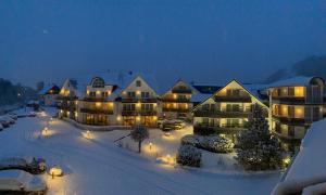 a group of buildings in the snow at night at Hotel Hochheide in Willingen